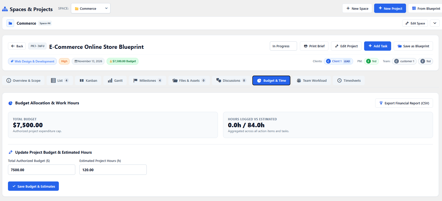 Project Budget and Time Tracking View
