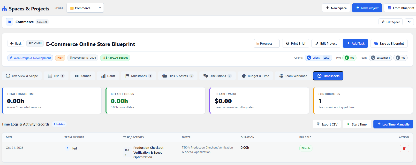 Project Timesheets and Work Logs View